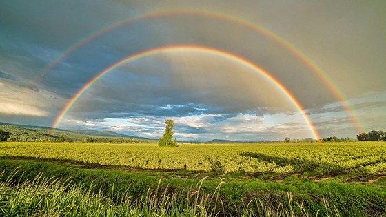 Concordato minore, una svolta per un imprenditore agricolo